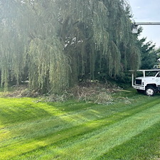 Plant-Health-Care-for-Weeping-Willow-Diseased-Oak-and-Crape-Myrtle-Pruning-in-Queen-Anne-MD 9